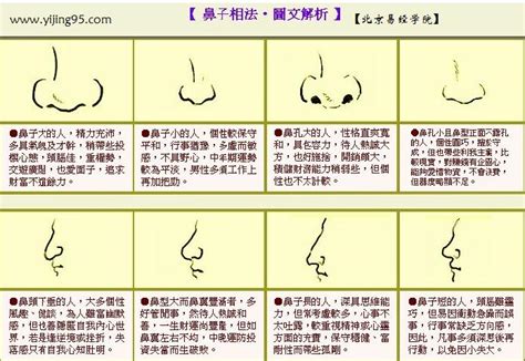 鼻子看相|面相入门